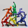 Dummy 13 image
