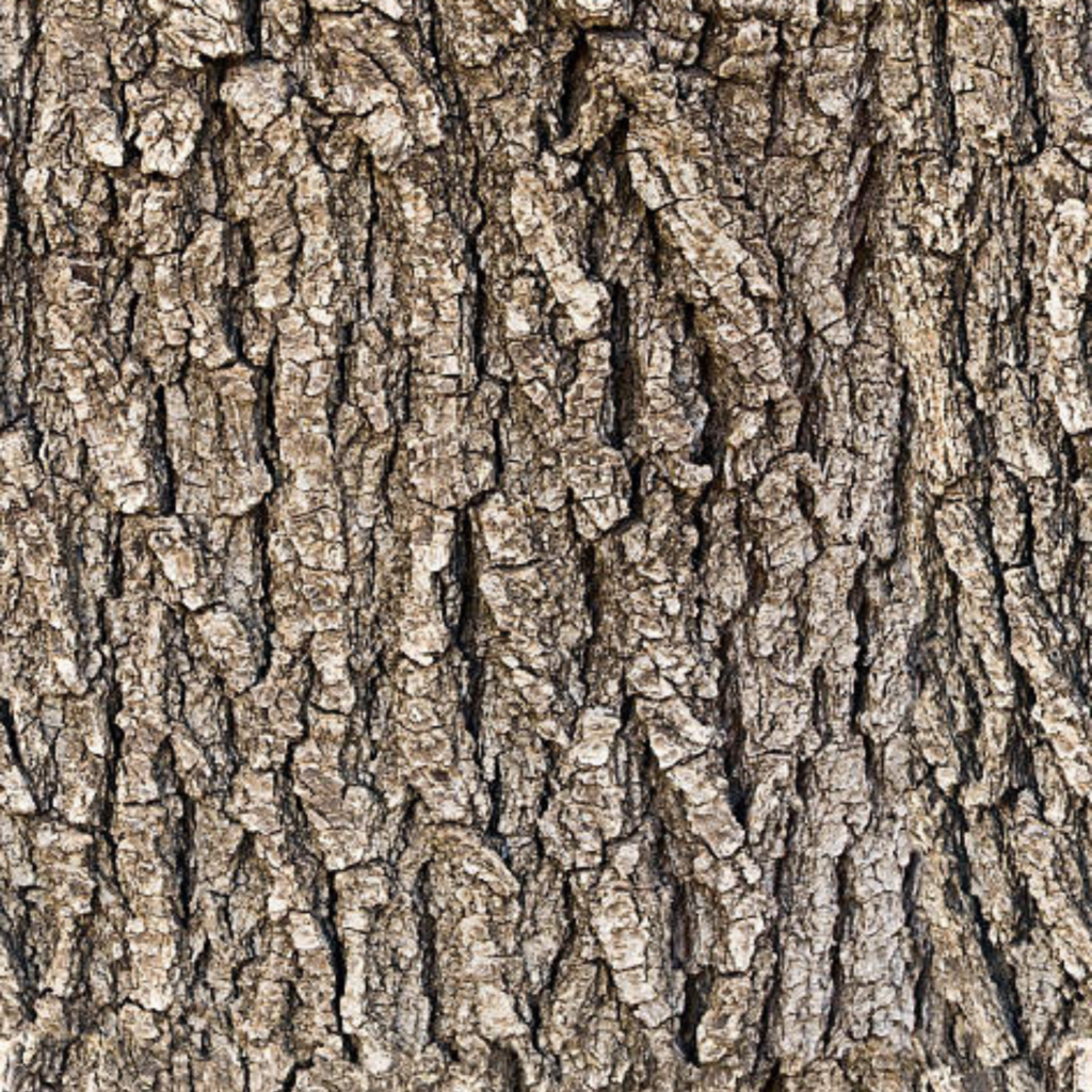 The Oaks Shadow Blog