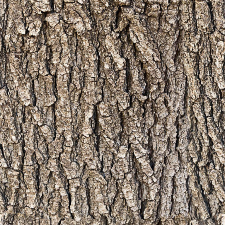 The Oaks Shadow Blog